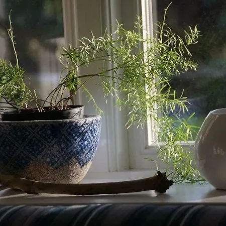 Дом отдыха Nordsee-traum Unter Reet *