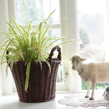 Дом отдыха Nordsee-traum Unter Reet Almdorf