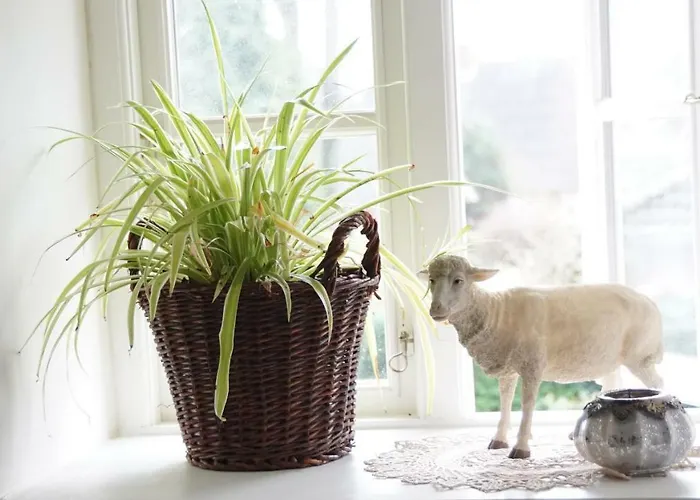 펜션 Nordsee-traum Unter Reet Almdorf